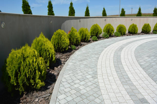 Best Decorative Driveway Pavers  in Houghton, MI